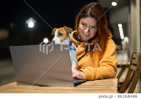 Smiling woman working on laptop at a wooden table in the street. The girl looks at the monitor with her pet jack russell terrier. Freelancer walks the dog in the evening. 86168486