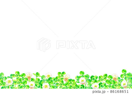 シロツメクサ クローバー の背景 春の植物の手描き水彩イラスト素材のイラスト素材 シロツメクサ クローバー の背景 春の植物の手描き水彩イラスト素材のイラスト素材