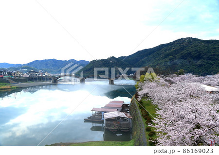 錦帯橋 86169023