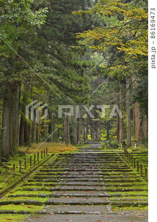 平泉寺白山神社 平泉寺白山神社 86169473