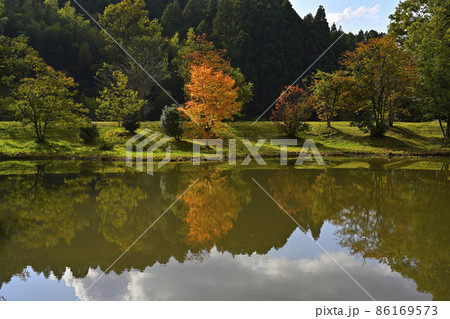 金津創作の森美術館の紅葉 金津創作の森美術館の紅葉 86169573