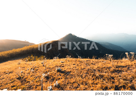 morning light and mountains,mountains in summer morning and spring flowers morning light and mountains,mountains in summer morning and spring flowers 86170000