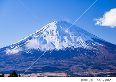 乙女峠から見た真っ白な雪化粧の富士山、横からの光で立体感ある