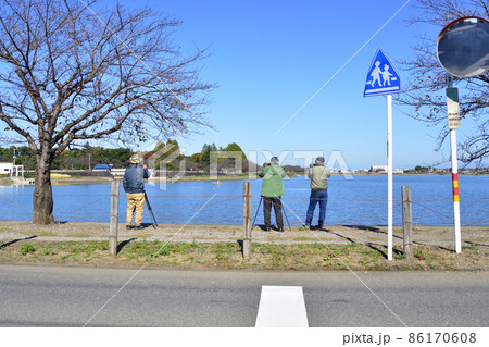 埼玉県川越市伊佐沼の風景 86170608