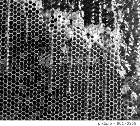 Drop of bee honey drip from hexagonal honeycombs 86170859