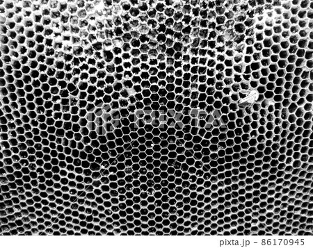 Abstract hexagon structure is honeycomb from bee hive 86170945