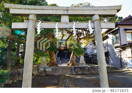 鎌倉 八坂大神 86171625