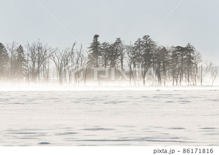 地吹雪の野付半島 地吹雪の野付半島 86171816