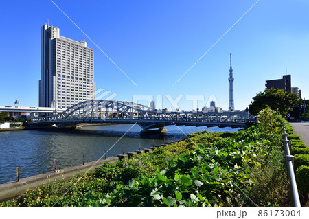 2021年、東京都　隅田川の風景 86173004