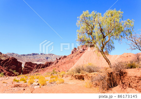 Bolivian canyon near Tupiza,Bolivia 86173145