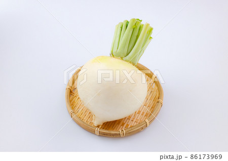 かぶ　ザル 86173969