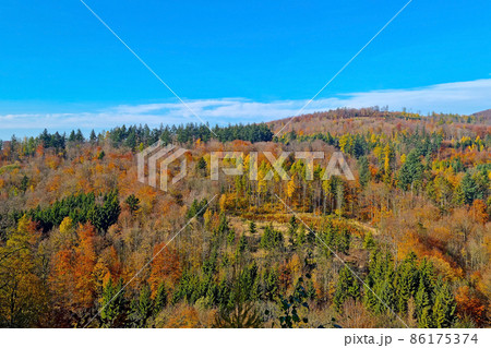 Drone view of the yellow forest in autumn. Drone view of the yellow forest in autumn. 86175374