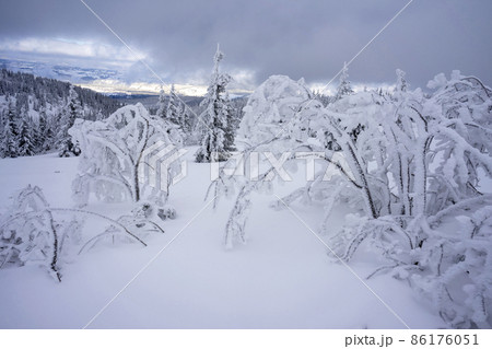 Snowy winter mountain landscape in the Western Tatras. 86176051