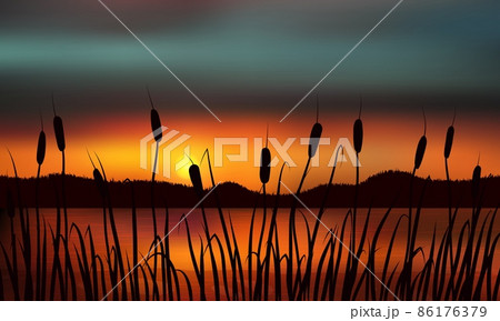 Reeds and rushes on the background of a golden sunset on the water with distant hills. Reeds and rushes on the background of a golden sunset on the water with distant hills. 86176379