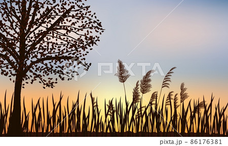 Silhouette of autumn tree, reeds and grass on a background of beautiful sunset. Silhouette of autumn tree, reeds and grass on a background of beautiful sunset. 86176381