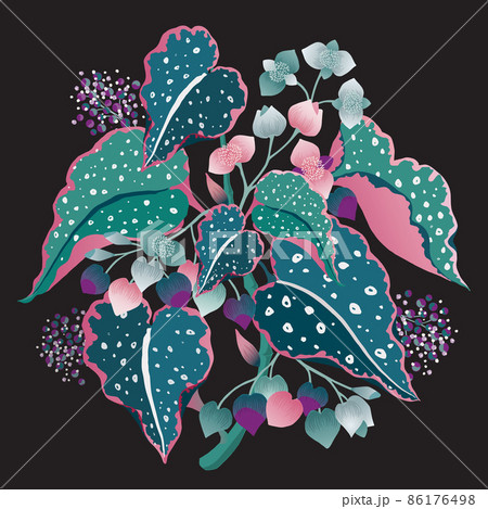 Vector illustration of floral bouquet. Design for cards, party invitation, Print, Frame Clip Art and Business Advertisement and Promotion Vector illustration of floral bouquet. Design for cards, party invitation, Print, Frame Clip Art and Business Advertisement and Promotion 86176498