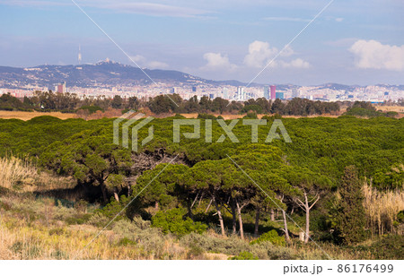 view of the control tower of El Prat airport in Barcelona. Catalonia 86176499