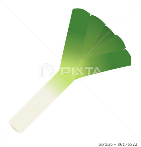 リーキのイラスト 86176522