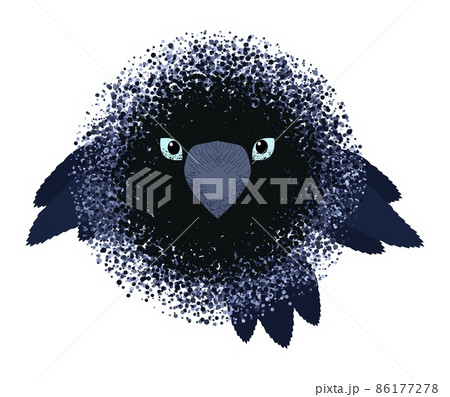 Stylized crow. Cute, adorable crow's face, creative halftone design isolated on white. Stylized crow. Cute, adorable crow's face, creative halftone design isolated on white. 86177278