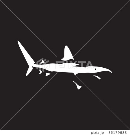 isolated white shark on dark logo design vector graphic symbol icon illustration creative idea isolated white shark on dark logo design vector graphic symbol icon illustration creative idea 86179688