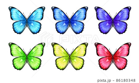 蝶々6色セットのイラスト素材