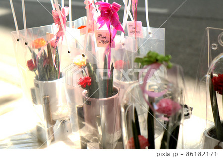 母の日 両親の日 用の鉢が並ぶ花屋の店先 韓国 の写真素材