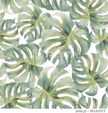 Infuse Exotic Ambience with Tropical Monstera Leaves Boho Wallpaper  Paper  Plane Design