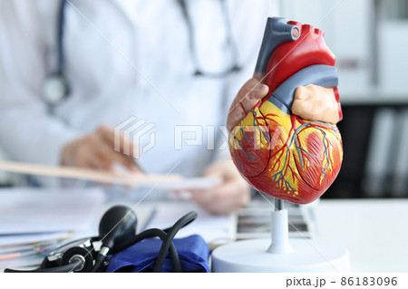 Artificial plastic model of human heart standing against background of cardiologist closeup 86183096