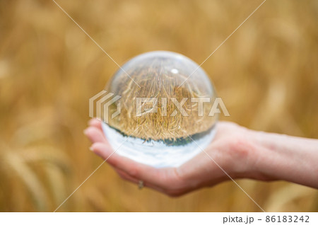 Closeup of female hand holding crystal ball in front of golden wheat field Closeup of female hand holding crystal ball in front of golden wheat field 86183242