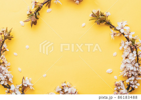 Spring background table. May flowers and April floral nature on pink. For banner, branches of blossoming cherry against background. Dreamy romantic image, landscape panorama, copy space. Spring background table. May flowers and April floral nature on pink. For banner, branches of blossoming cherry against background. Dreamy romantic image, landscape panorama, copy space. 86183488