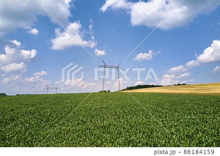 Tower with electric power lines for transfering high voltage electricity located in agricultural cornfield. Delivery of electrical energy concept Tower with electric power lines for transfering high voltage electricity located in agricultural cornfield. Delivery of electrical energy concept 86184159