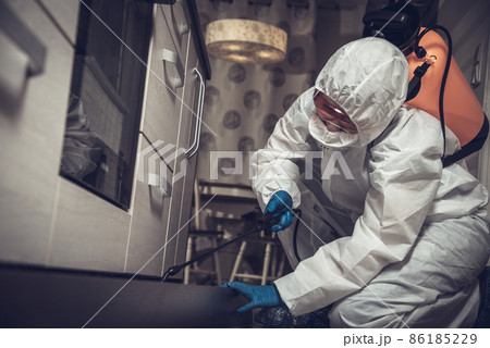 An exterminator in work clothes sprays pesticides with a spray gun. Fight against insects in apartments and houses. Disinsection of the premises 86185229