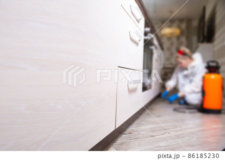 An exterminator in work clothes sprays pesticides with a spray gun. Fight against insects in apartments and houses. Disinsection of the premises 86185230