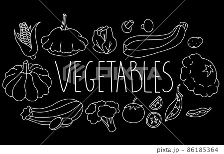 Vector Set of healthy food vegetables. Pumpkin and patisson, zucchini, cabbage, tomatoes and potatoes, mushrooms and corn, peas and cauliflower. Isolated linear chalk hand drawing on black background. Vector Set of healthy food vegetables. Pumpkin and patisson, zucchini, cabbage, tomatoes and potatoes, mushrooms and corn, peas and cauliflower. Isolated linear chalk hand drawing on black background. 86185364
