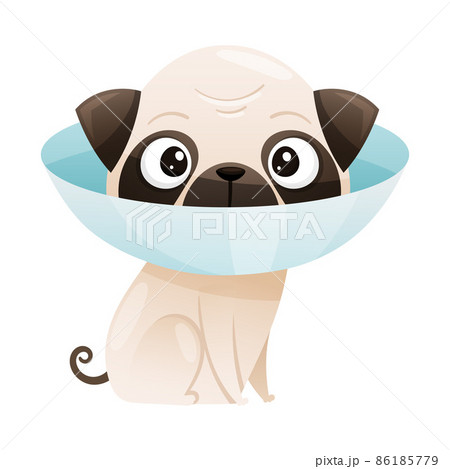 Sick puppy with protective veterinary collar cartoon vector illustration 86185779
