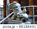 雪化粧をした狛犬 狛犬の上に降り積もる雪 神社の雪景色 86186441