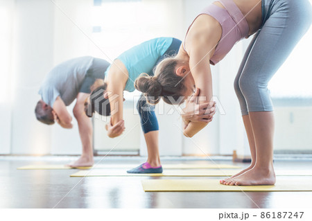 Yoga students in forward fold Yoga students in forward fold 86187247
