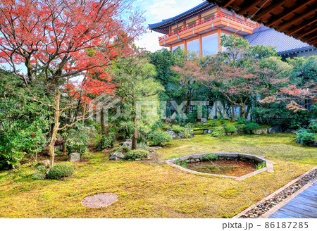京都本法寺、三巴の庭 京都本法寺、三巴の庭 86187285