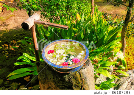 京都、本法寺庭園の花手水 京都、本法寺庭園の花手水 86187293
