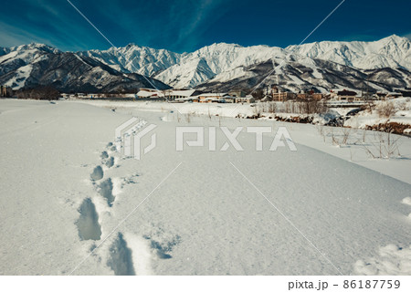 雪原に残る動物の足跡と雄大なる後立山連峰【北安曇郡白馬村】 86187759