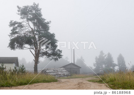 Morning misty rural landscape 86188968