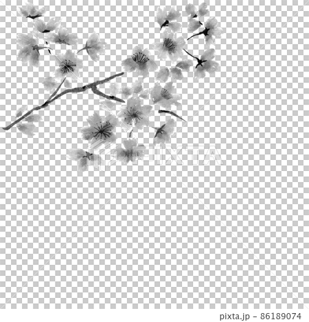 左上の桜の枝と花挿絵モノクロイラスト（墨の手描きイラスト）の