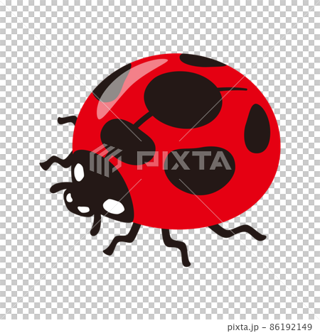 瓢蟲 86192149