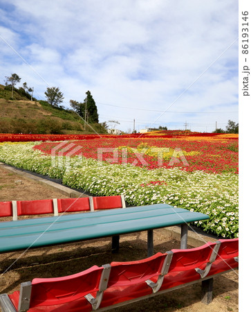 世羅高原農場 86193146