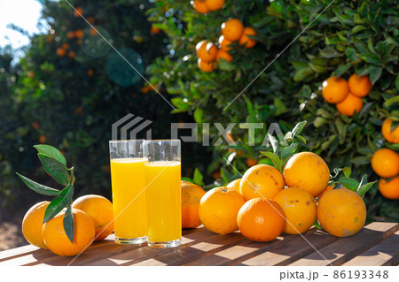 Orange juice and fresh fruits Orange juice and fresh fruits 86193348