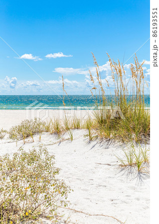 Pink umbrella 86193551