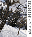 インスタ映えを狙って作った雪玉と木々 86193783