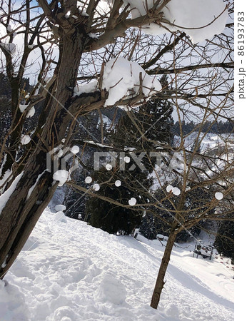 インスタ映えを狙って作った雪玉と木々 インスタ映えを狙って作った雪玉と木々 86193783