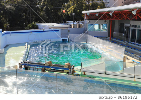 しながわ水族館　イルカ・アシカスタジアム 86196172