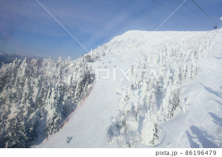樹氷 霧氷 蔵王 ザンゲ坂 樹氷 霧氷 蔵王 ザンゲ坂 86196479